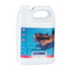 Anticalcar Curatare Piscina AstralPool 5L