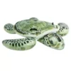 Saltea Gonflabila sub forma broasca testoasa 191x170